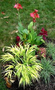 Garden walks for family, nature enthusiasts